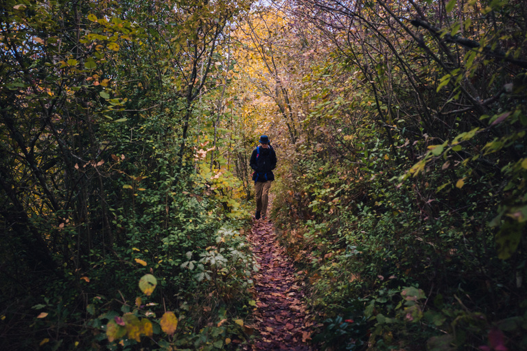 Sophie Gateau - Vexin X Columbia  - 09