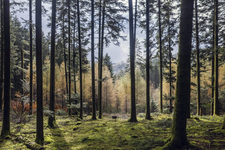 Sophie Gateau - Morvan X Café du Cycliste - 07