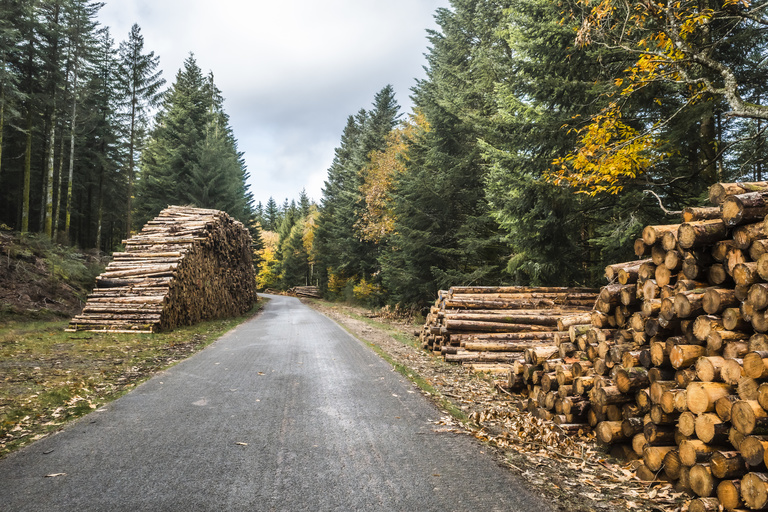 Sophie Gateau - Morvan X Café du Cycliste - 12