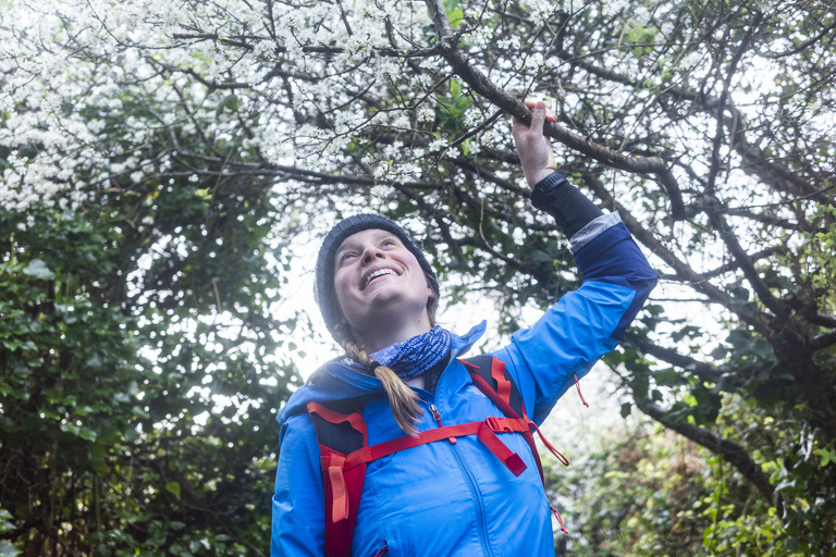 Sophie Gateau - Chilowé - 24