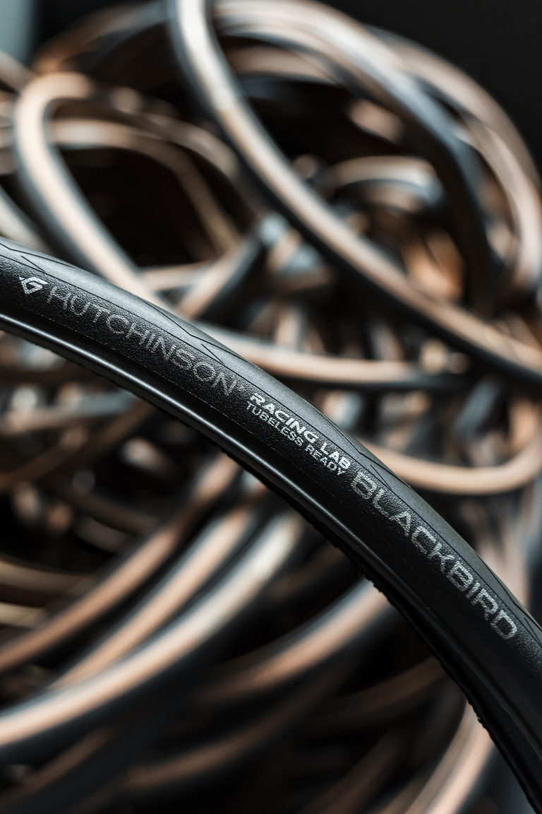 Sophie Gateau - Hutchinson Blackbird - 05