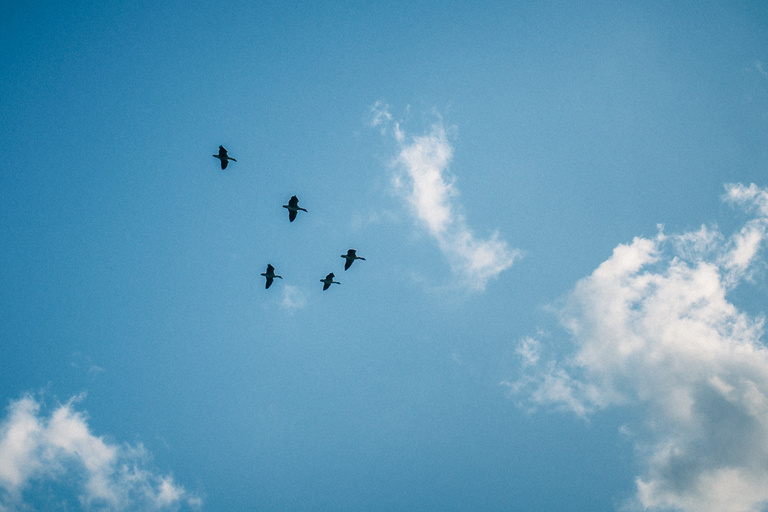 Sophie Gateau - Via Race Chapter II - 22