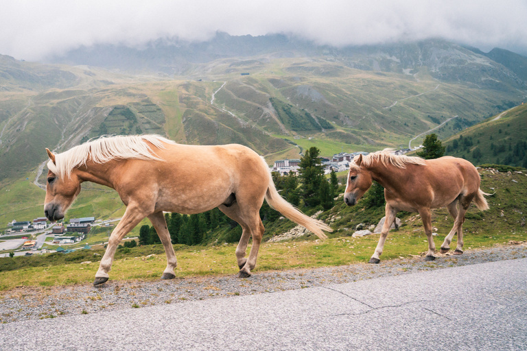 Sophie Gateau - Via Race Chapter II - 61