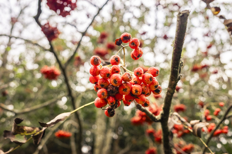 Sophie Gateau - Komoot X Westerwald Tourism Office - 08