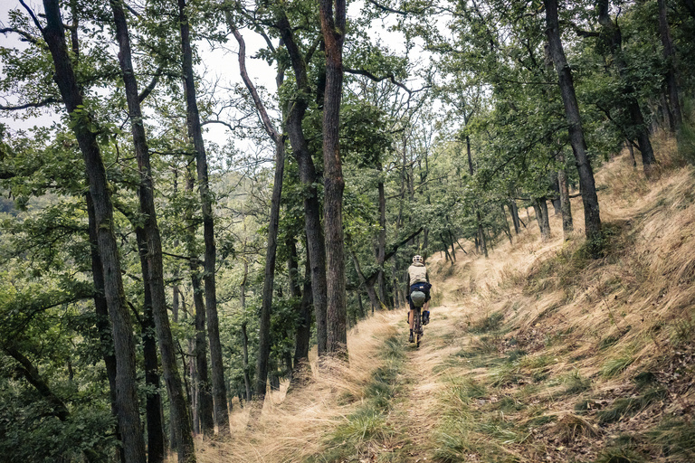 Sophie Gateau - Komoot X Westerwald Tourism Office - 13