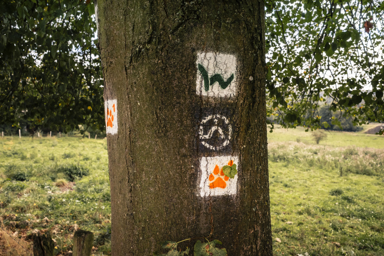 Sophie Gateau - Komoot X Westerwald Tourism Office - 05