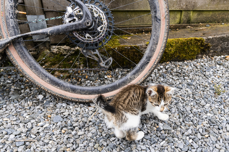 Sophie Gateau - Les Ardennes X Café du Cycliste - 09