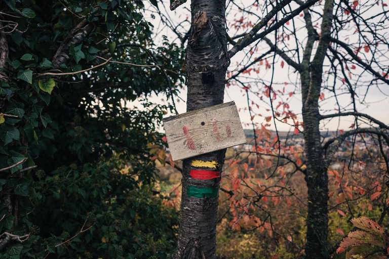 Sophie Gateau - Vexin X Columbia  - 07