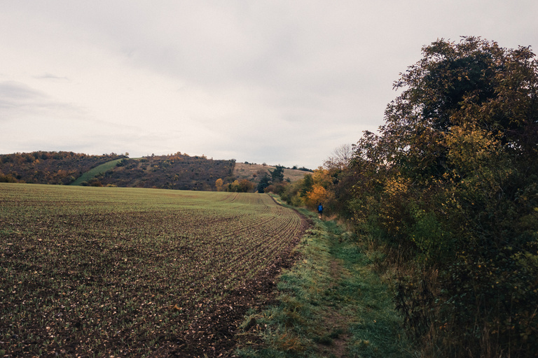 Sophie Gateau - Vexin X Columbia  - 07