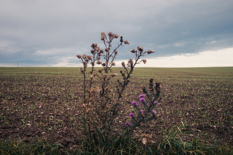 Sophie Gateau - Vexin X Columbia  - 08