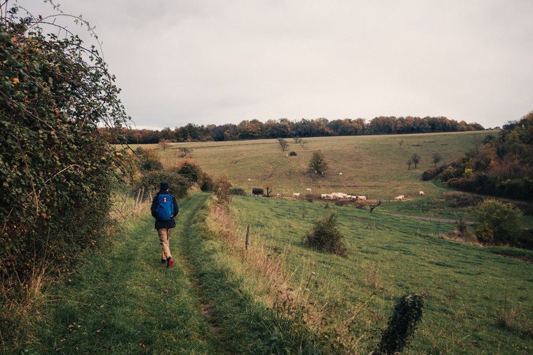 Sophie Gateau - Vexin X Columbia  - 12