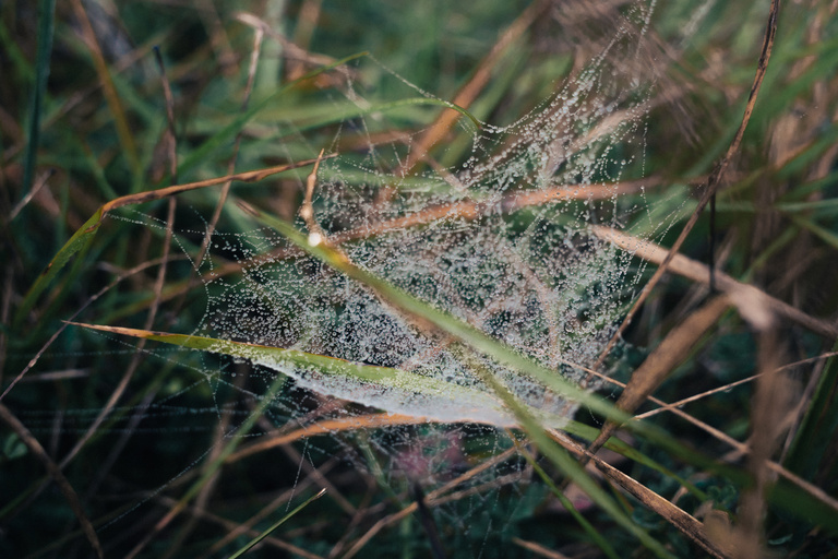 Sophie Gateau - Vexin X Columbia  - 04