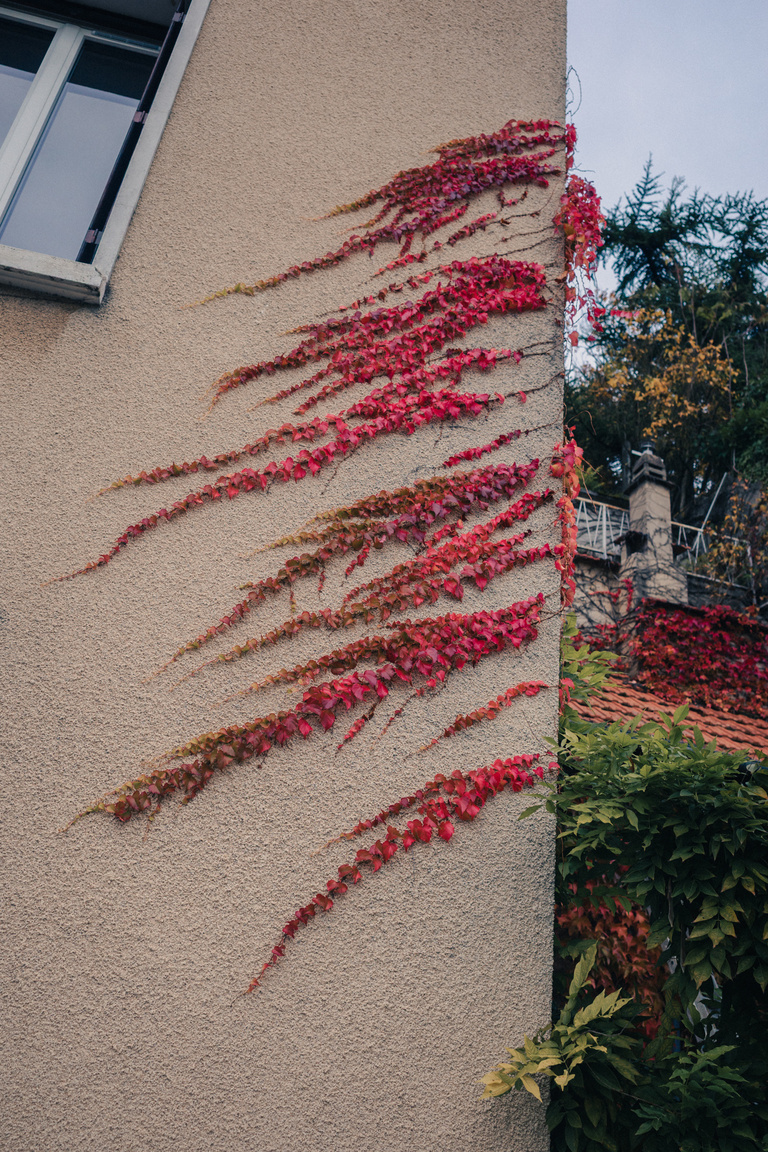 Sophie Gateau - Vexin X Columbia  - 12